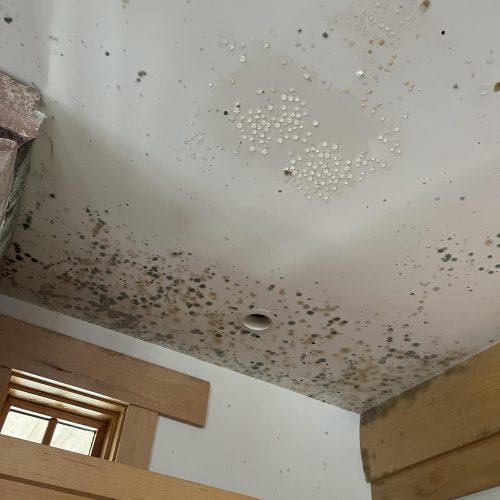 biohazard-mold-cleanup